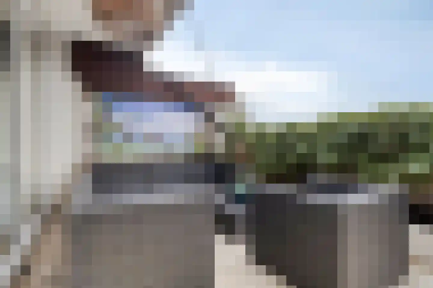 de Bronnen 23 Beverwijk thumbnail 19