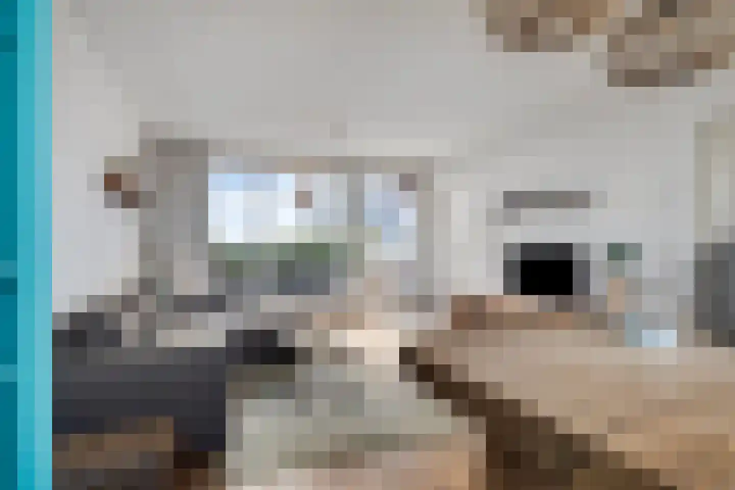 de Bronnen 23 Beverwijk thumbnail 7