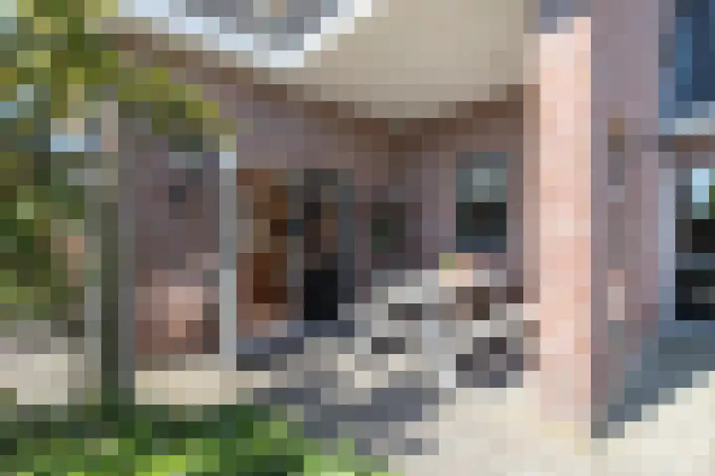 De Brootacker 1 Hooghalen thumbnail 17