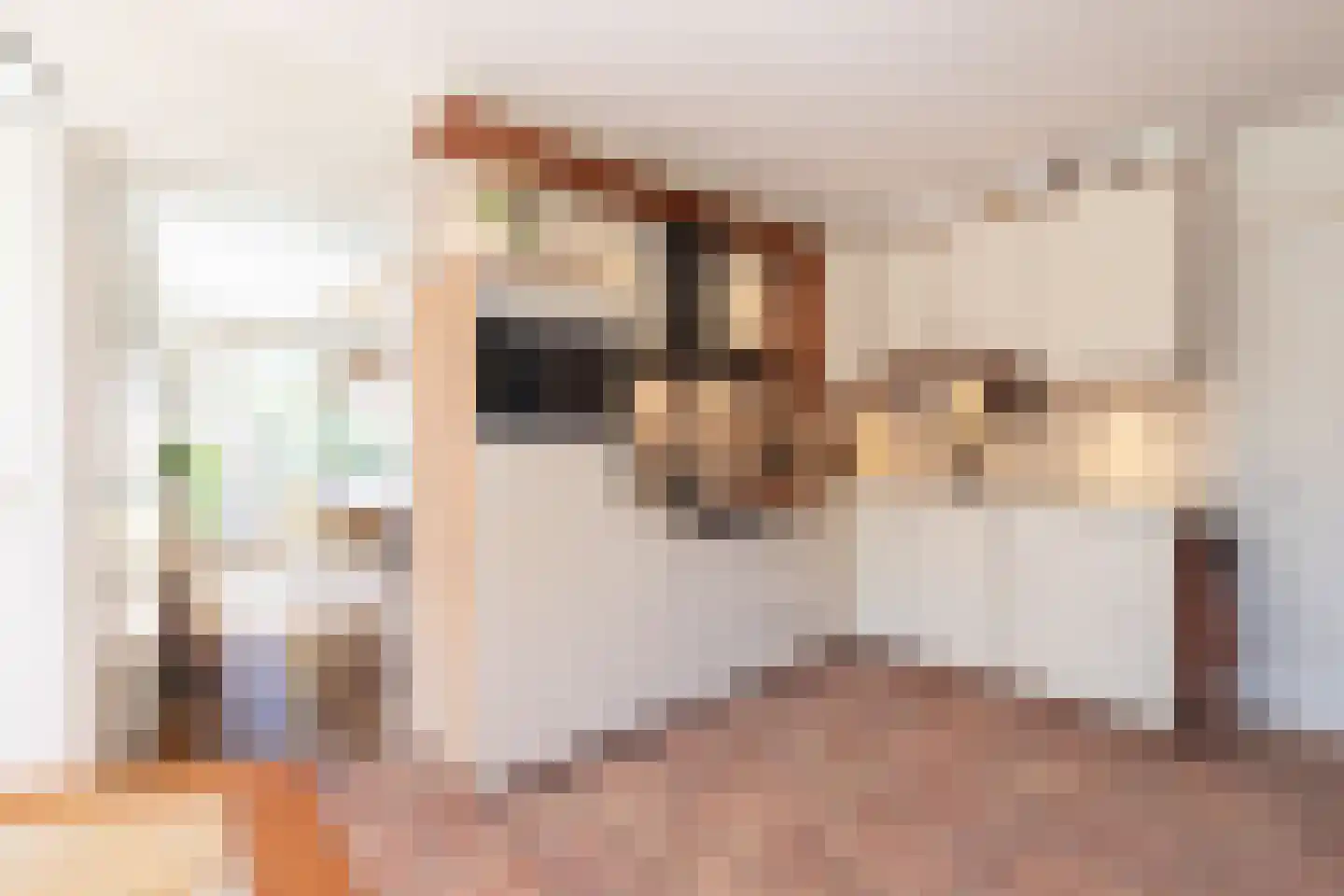 De Brootacker 1 Hooghalen thumbnail 19