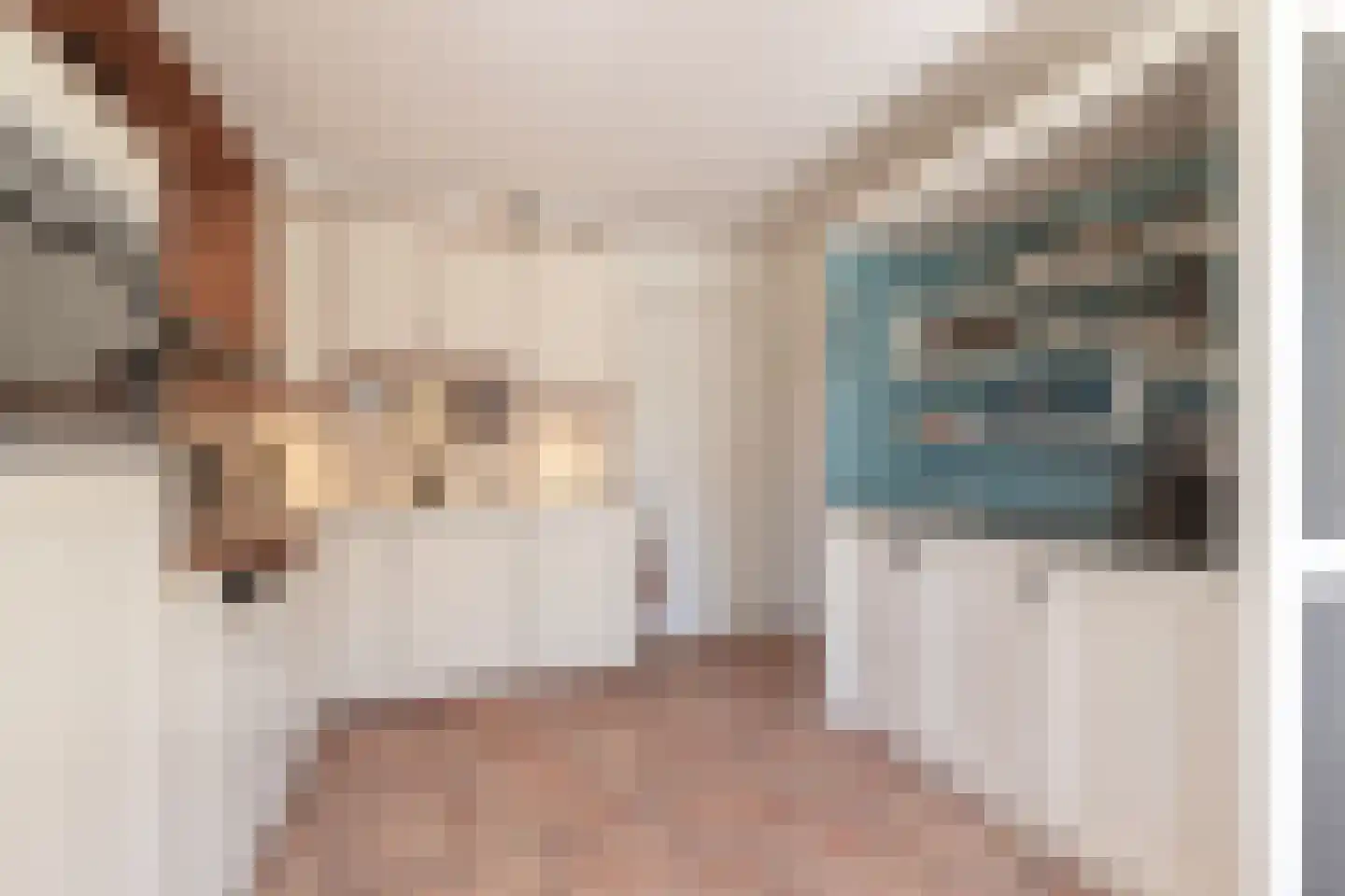 De Brootacker 1 Hooghalen thumbnail 20