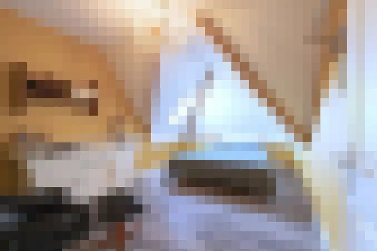 De Brootacker 1 Hooghalen thumbnail 34
