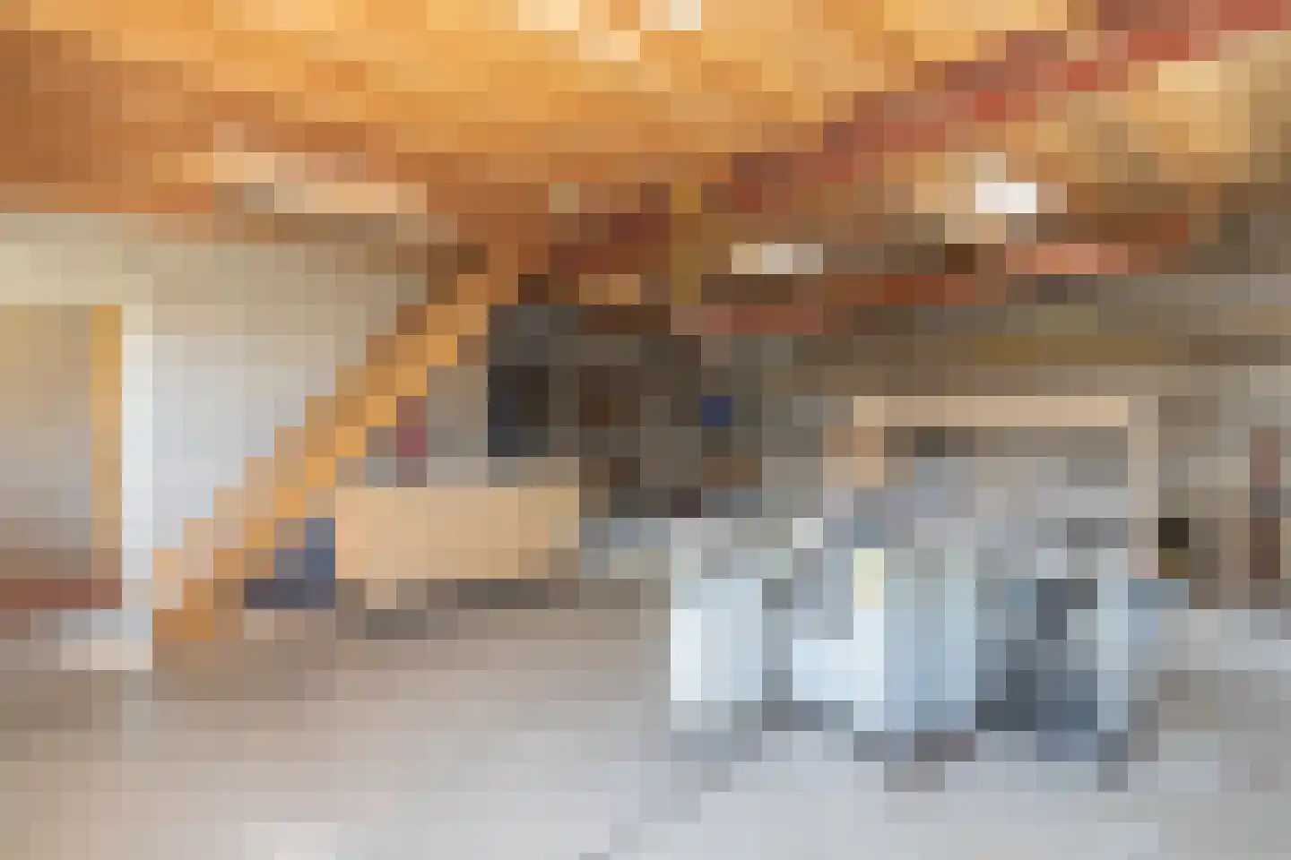 De Brootacker 1 Hooghalen thumbnail 44