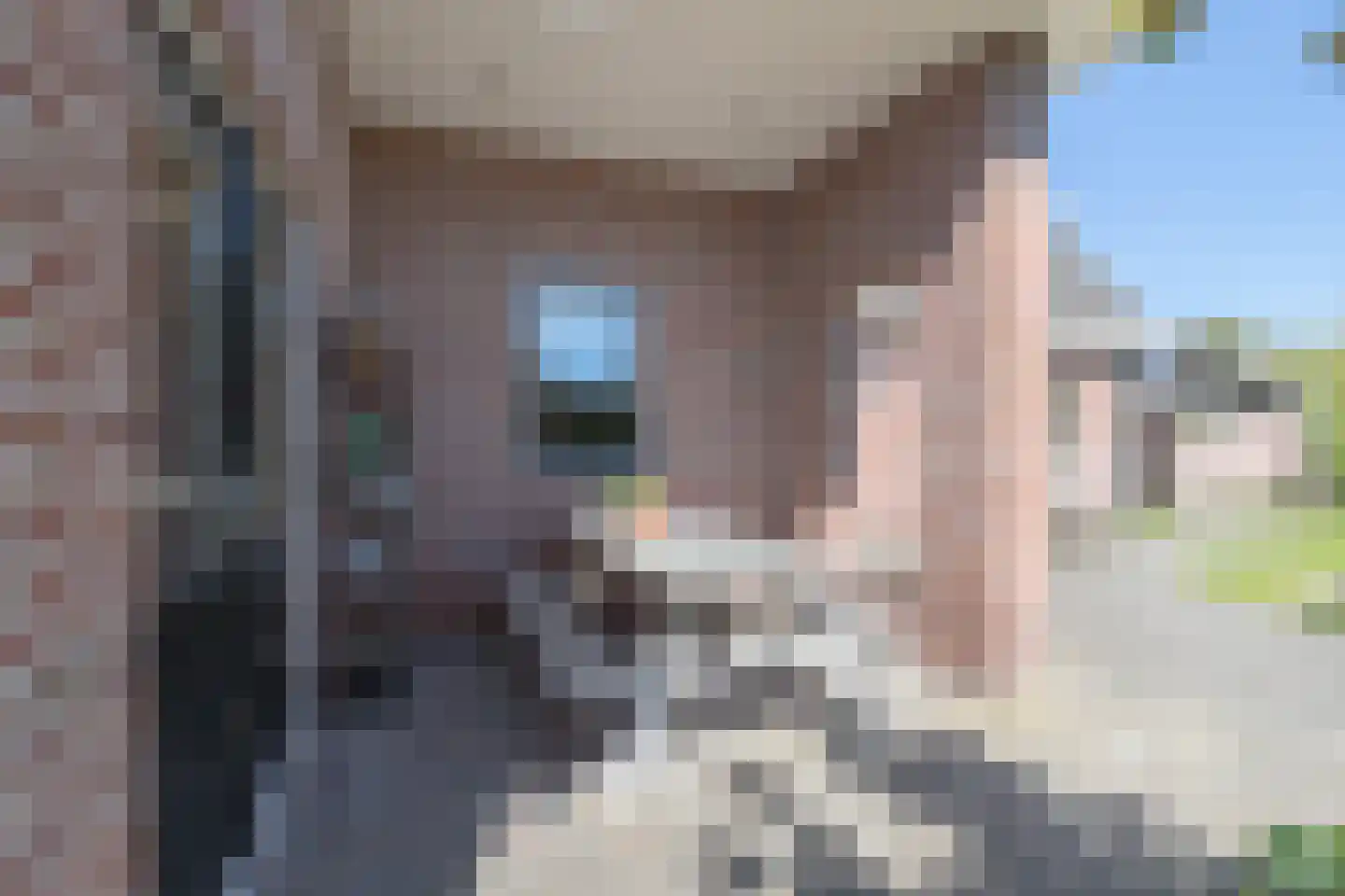 De Brootacker 1 Hooghalen thumbnail 47