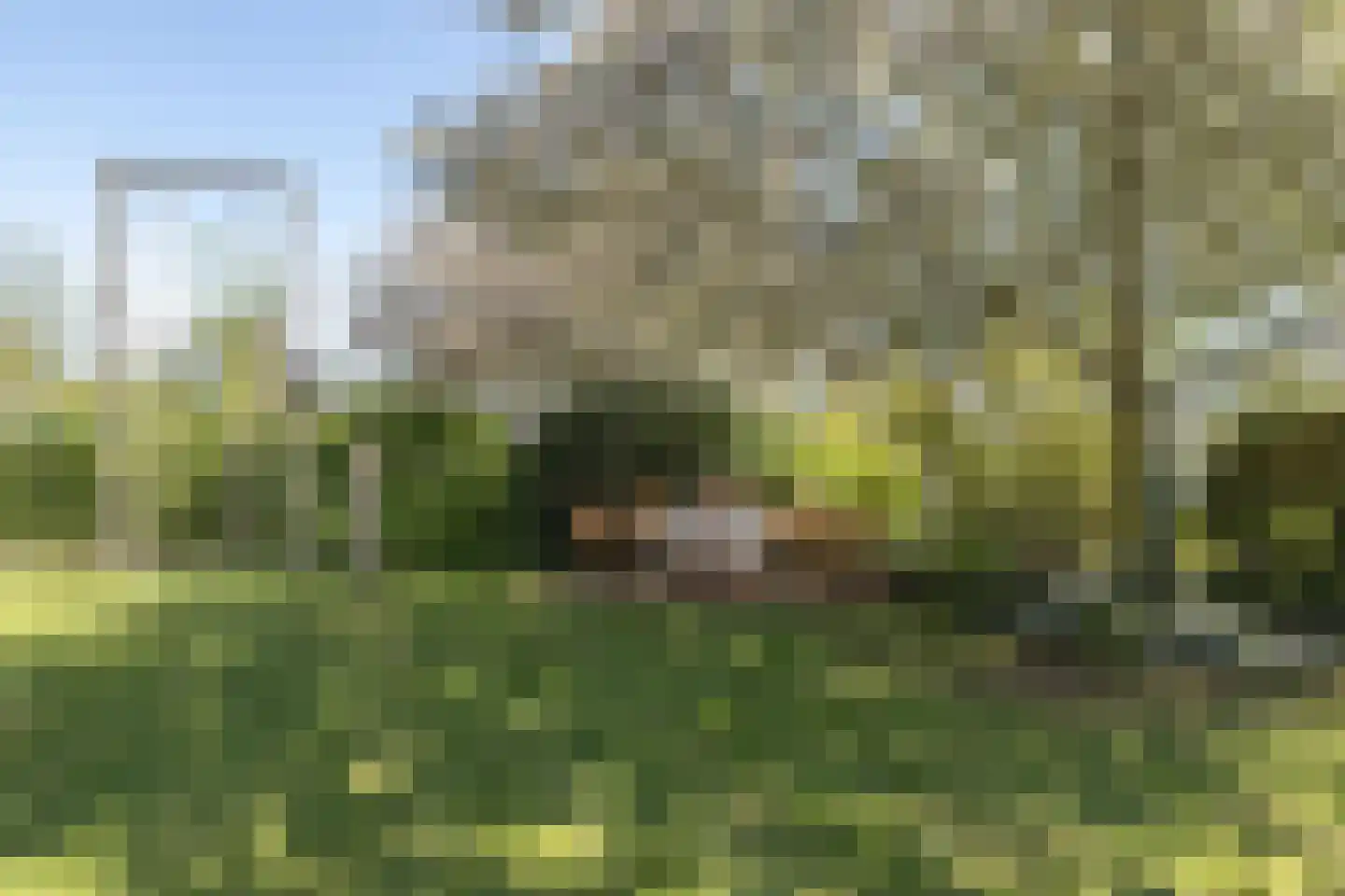 De Brootacker 1 Hooghalen thumbnail 51