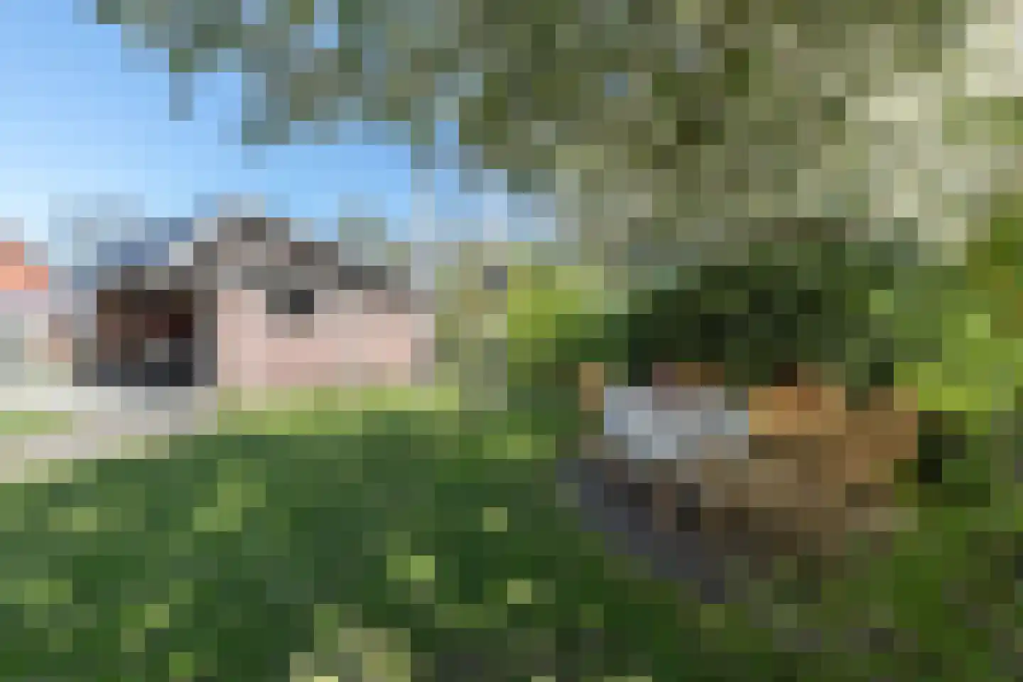 De Brootacker 1 Hooghalen thumbnail 52
