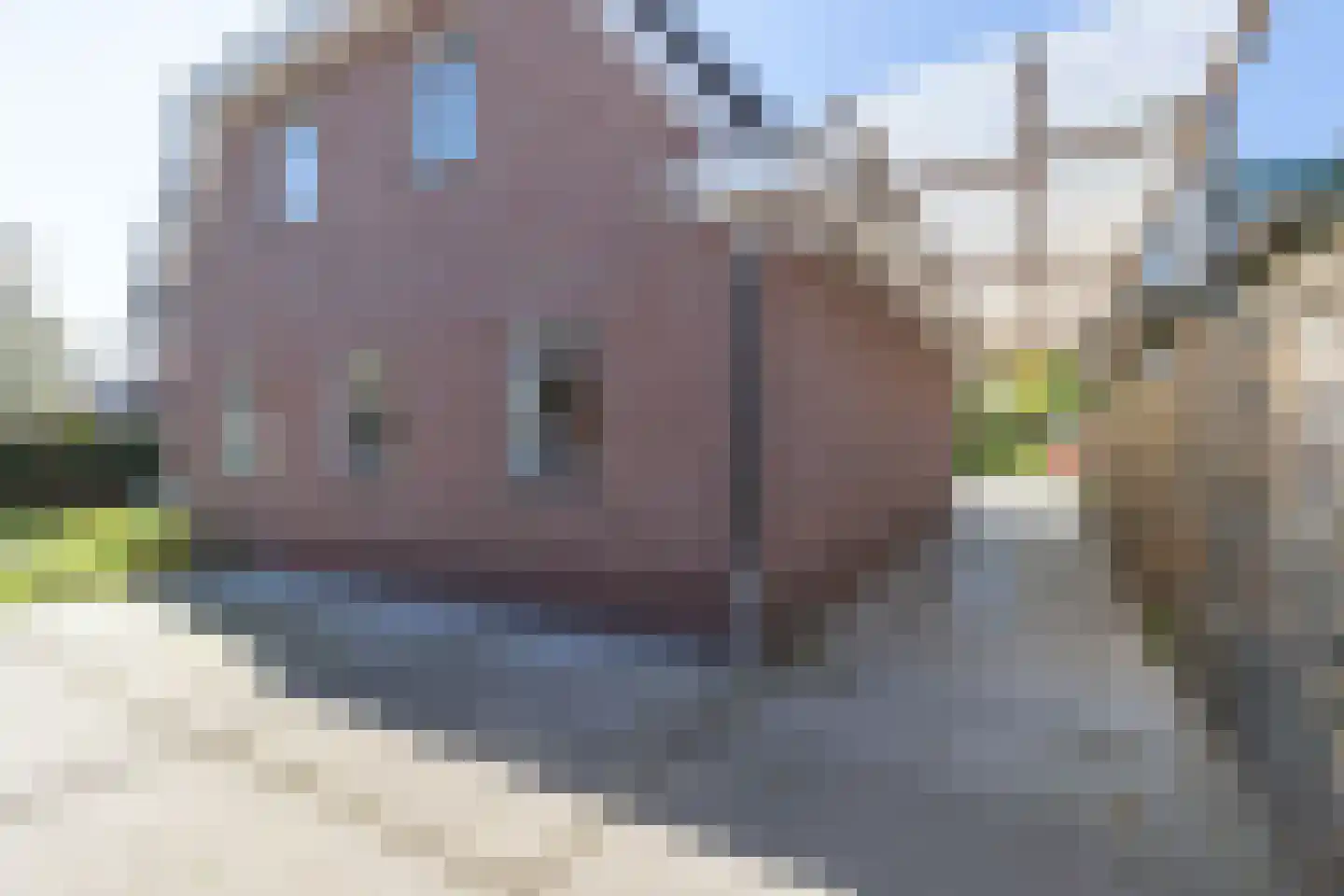 De Brootacker 1 Hooghalen thumbnail 55