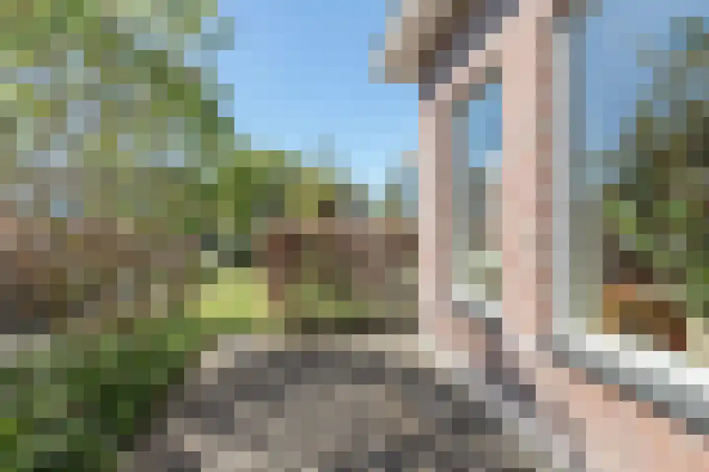 De Brootacker 1 Hooghalen thumbnail 59