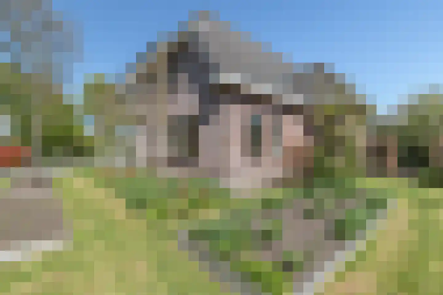 De Brootacker 1 Hooghalen thumbnail 63
