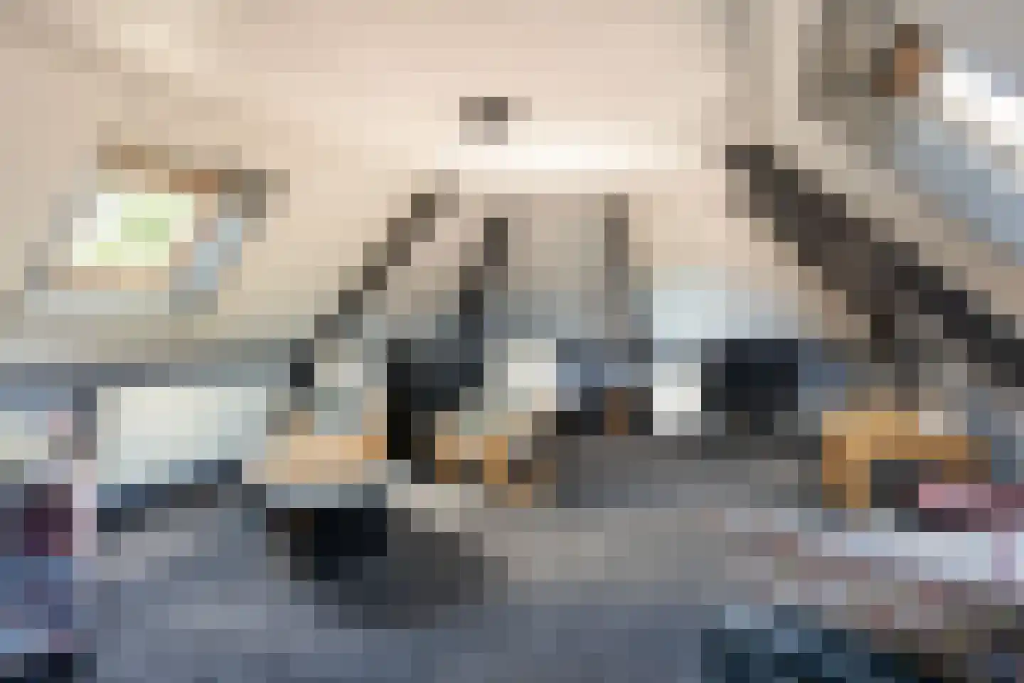 De Brootacker 3 Hooghalen thumbnail 17