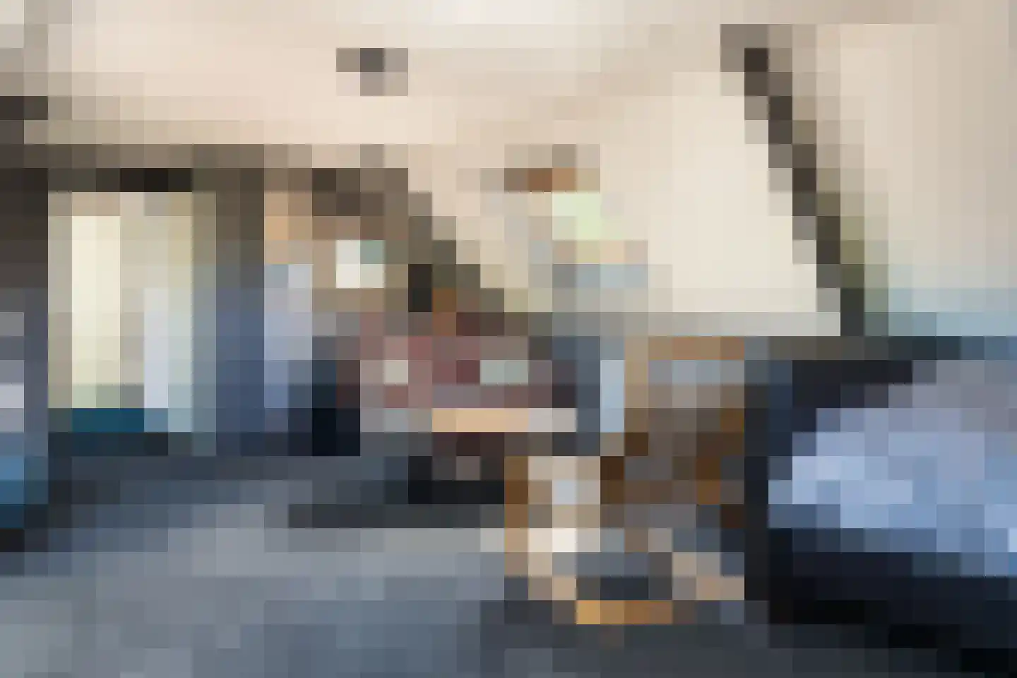 De Brootacker 3 Hooghalen thumbnail 18