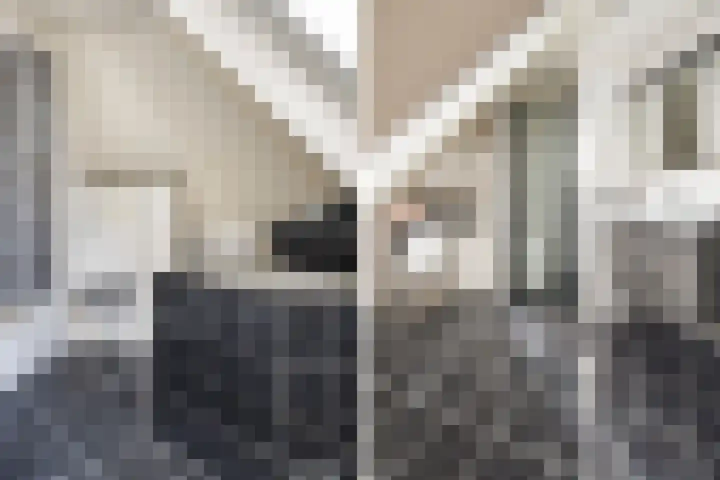 De Brootacker 3 Hooghalen thumbnail 19