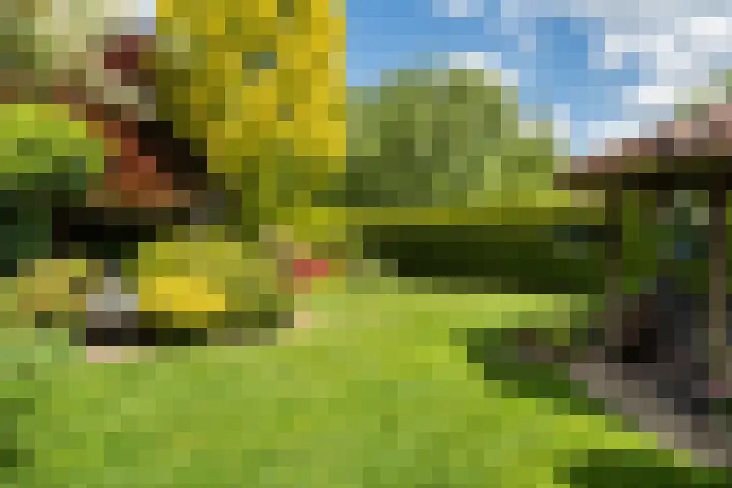 De Brootacker 3 Hooghalen thumbnail 24