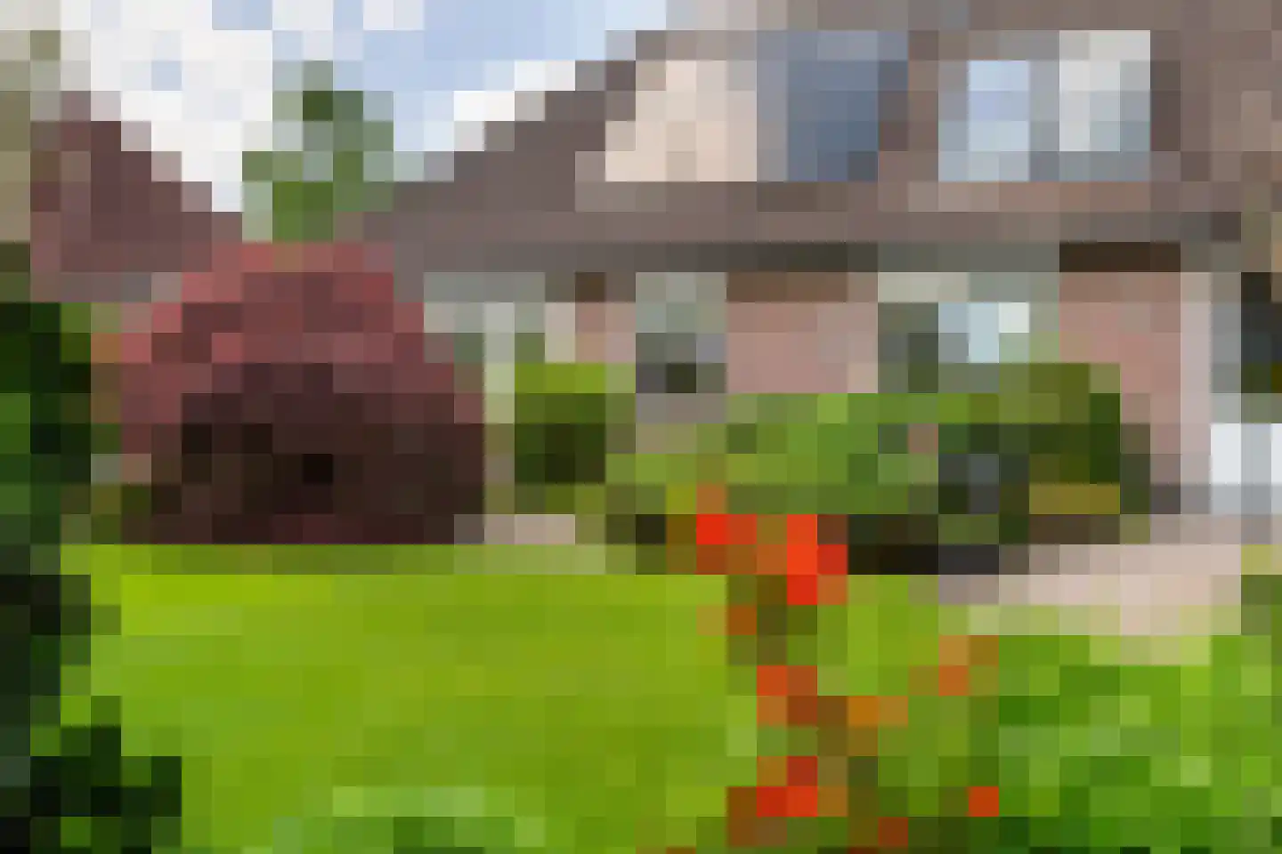 De Brootacker 3 Hooghalen thumbnail 26
