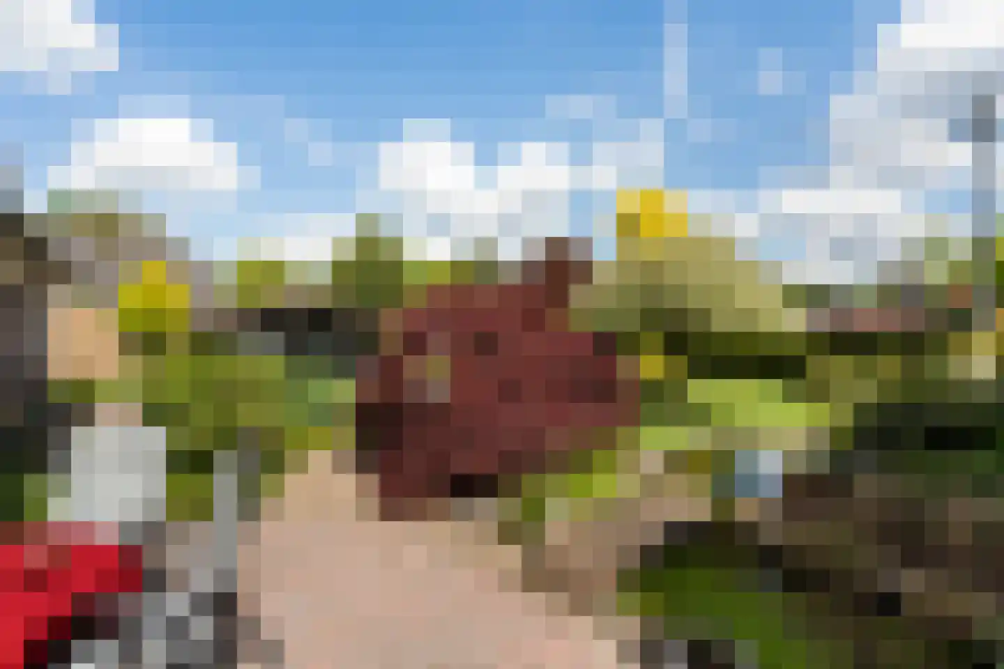 De Brootacker 3 Hooghalen thumbnail 30
