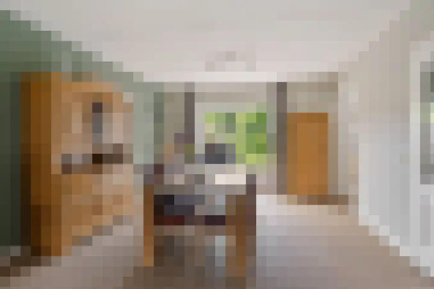 De Brootacker 6 Hooghalen thumbnail 15