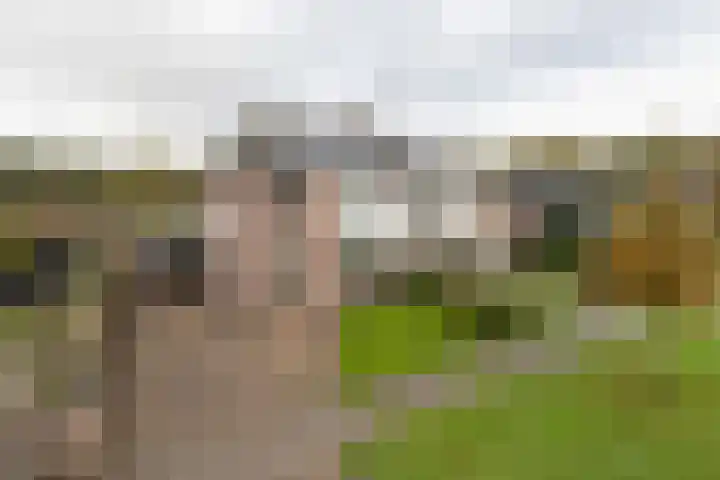De Brootacker 8 en Hooghalen