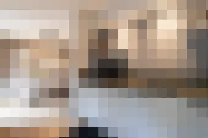 De Brootacker 8 Hooghalen thumbnail 14