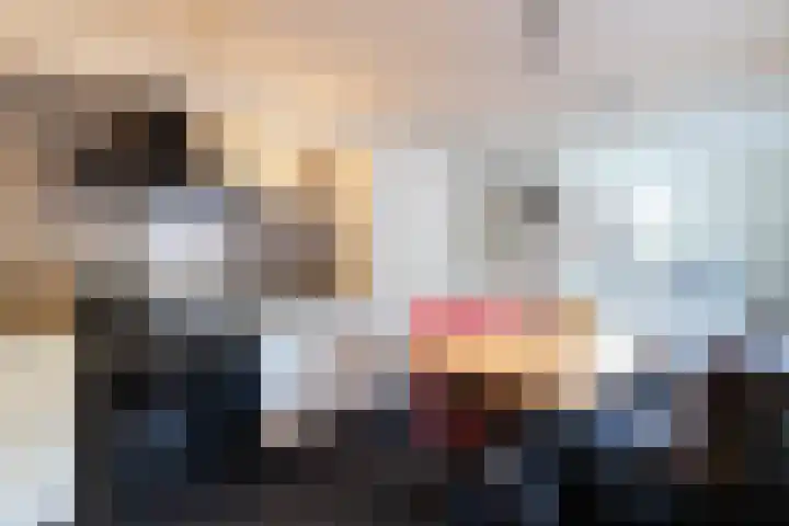 De Brootacker 8 Hooghalen thumbnail 15