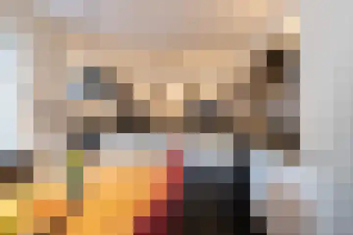 De Brootacker 8 Hooghalen thumbnail 17