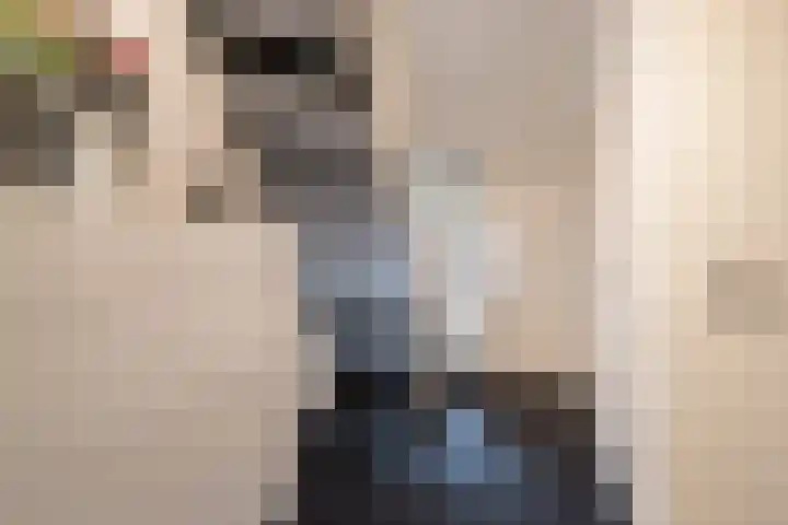 De Brootacker 8 Hooghalen thumbnail 20