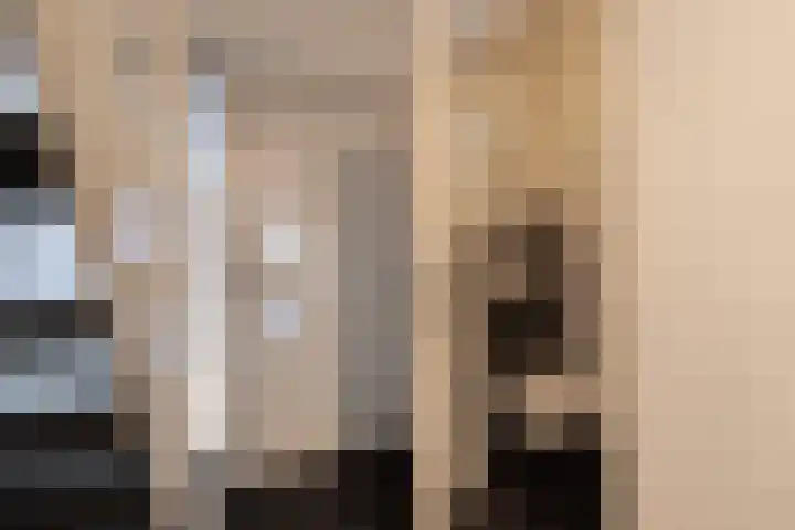De Brootacker 8 Hooghalen thumbnail 21
