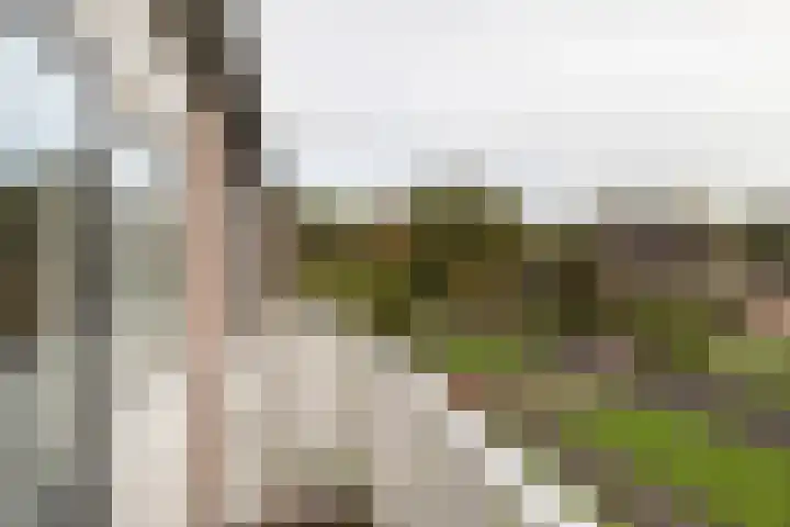 De Brootacker 8 Hooghalen thumbnail 24