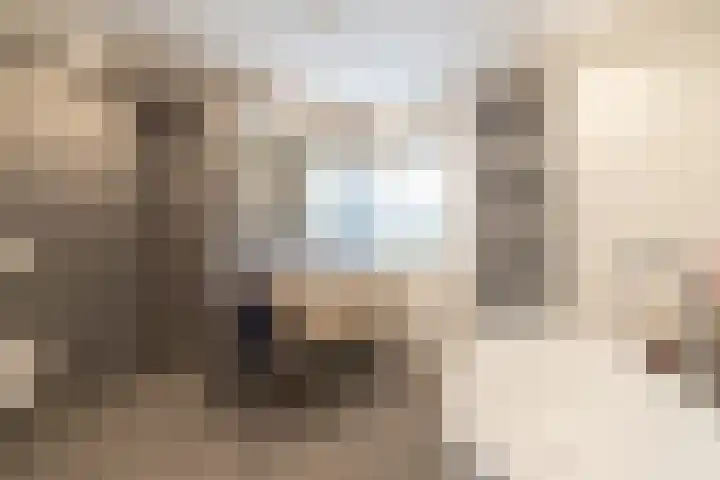 De Brootacker 8 Hooghalen thumbnail 28