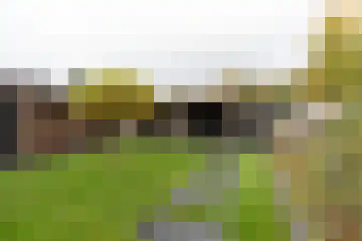 De Brootacker 8 Hooghalen foto 3