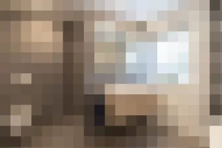 De Brootacker 8 Hooghalen thumbnail 30