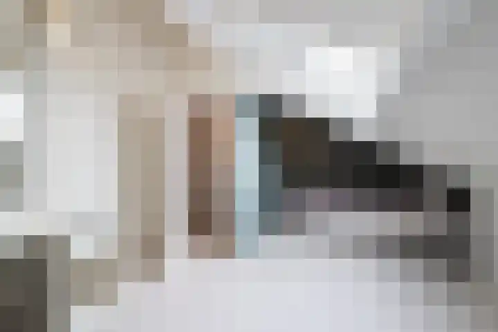 De Brootacker 8 Hooghalen thumbnail 33