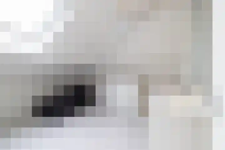 De Brootacker 8 Hooghalen thumbnail 34