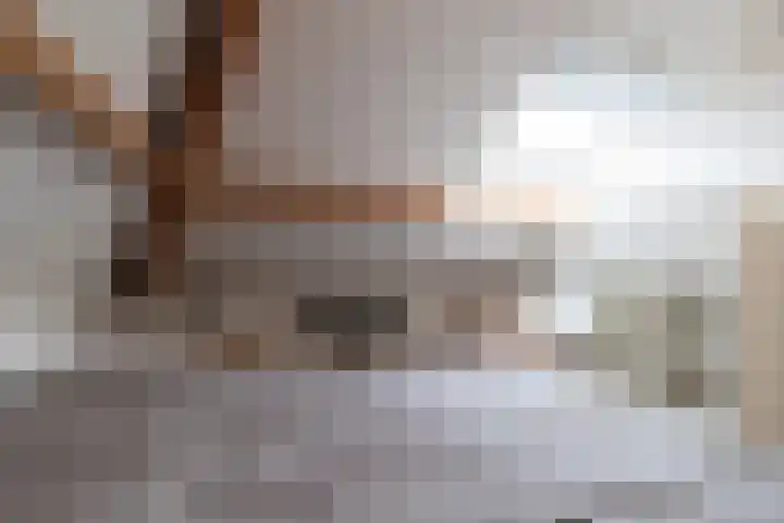 De Brootacker 8 Hooghalen thumbnail 35