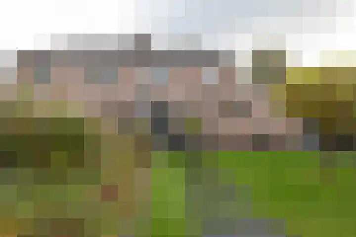 De Brootacker 8 Hooghalen thumbnail 37