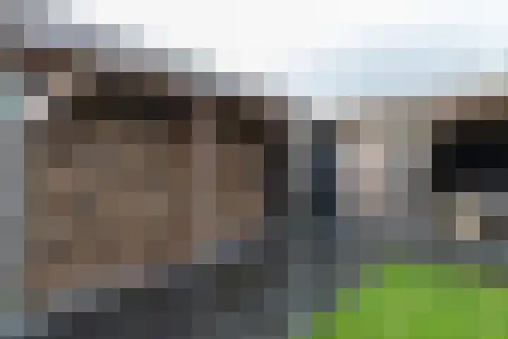 De Brootacker 8 Hooghalen thumbnail 41