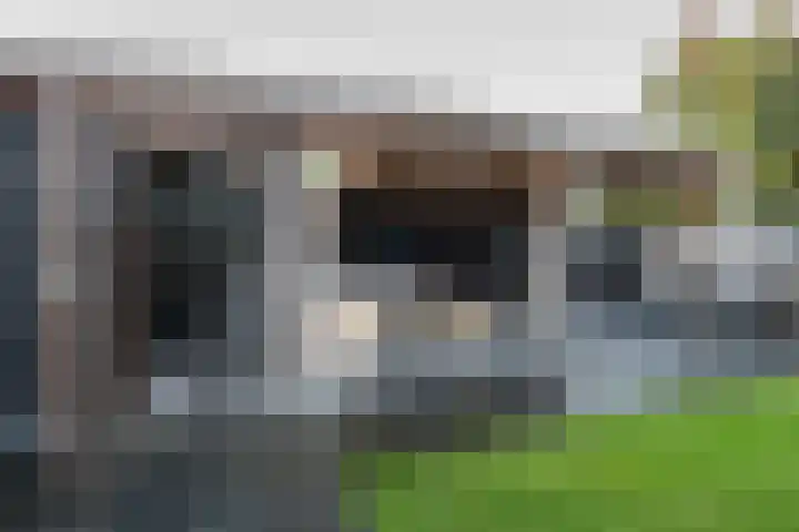 De Brootacker 8 Hooghalen thumbnail 42