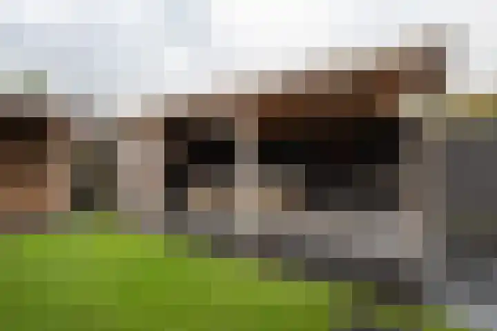 De Brootacker 8 Hooghalen thumbnail 43