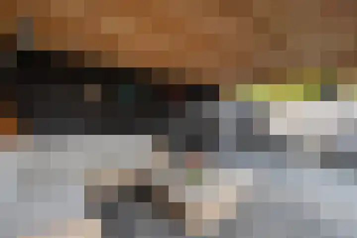 De Brootacker 8 Hooghalen thumbnail 44