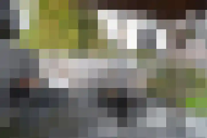 De Brootacker 8 Hooghalen thumbnail 45