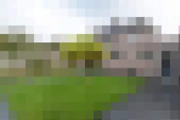 De Brootacker 8 Hooghalen thumbnail 46