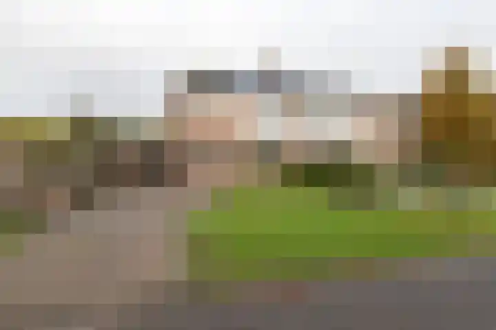 De Brootacker 8 Hooghalen thumbnail 47