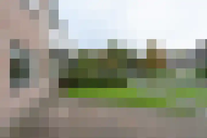 De Brootacker 8 Hooghalen thumbnail 48