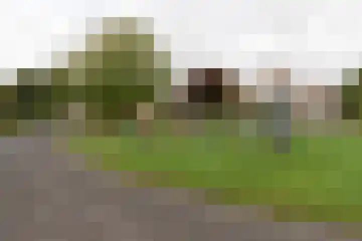 De Brootacker 8 Hooghalen thumbnail 49