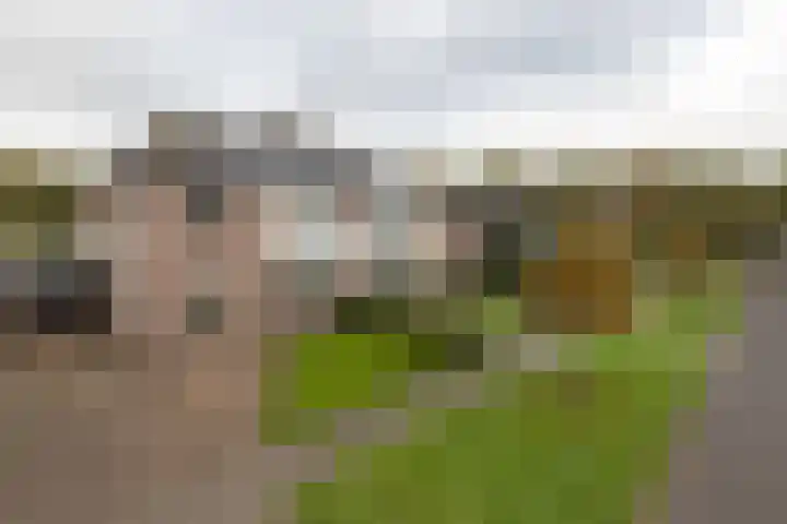 De Brootacker 8 Hooghalen thumbnail 50