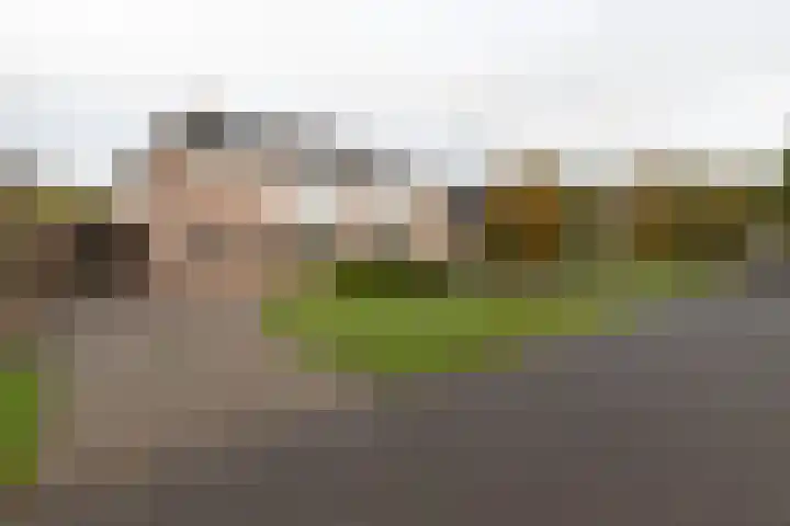 De Brootacker 8 Hooghalen thumbnail 51