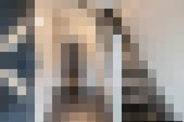 De Brootacker 8 Hooghalen thumbnail 6