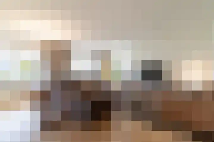 De Brootacker 8 Hooghalen thumbnail 9