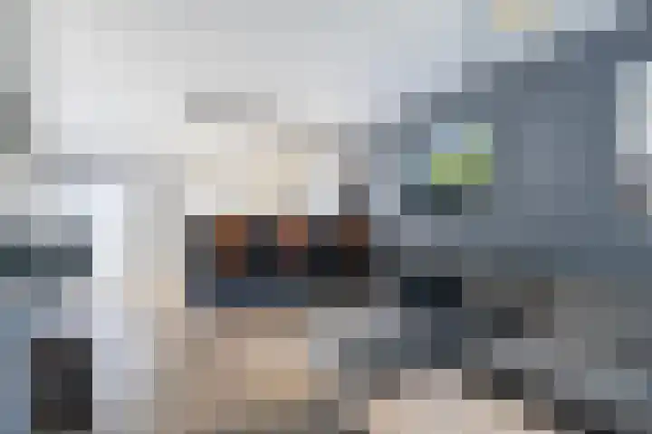 De Brouwerij 8 Gerkesklooster thumbnail 16