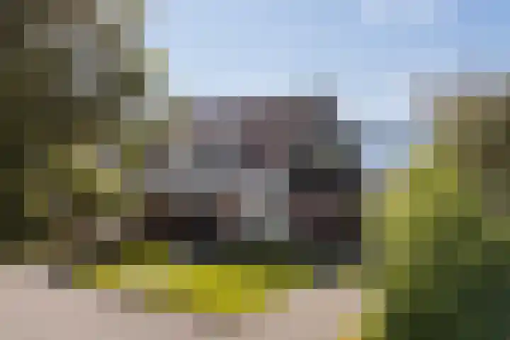 De Brouwerij 8 Gerkesklooster thumbnail 8