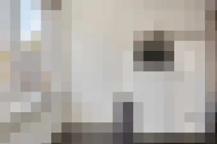 De Brouwerstraat 3 Hoogeloon thumbnail 7